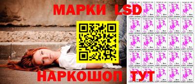 гидропоника Можайск