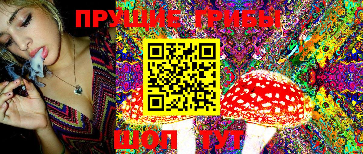 купить наркоту  Галлюциногенные грибы Magic Shrooms  Вход с VPN  Тара 